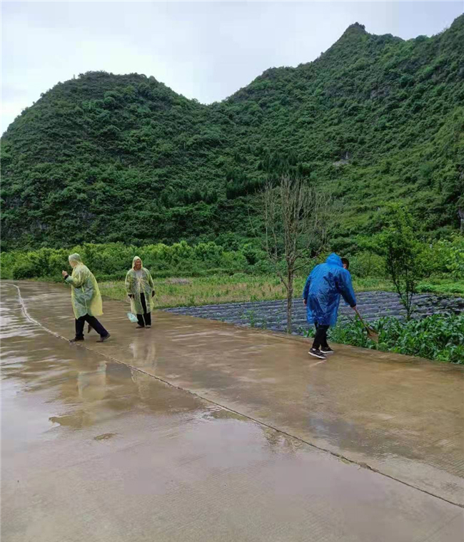 清扫道路.jpg