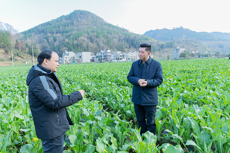 板当镇红院坝区2.jpg