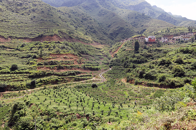 岗乌镇谷目村经果林产业基地.jpg