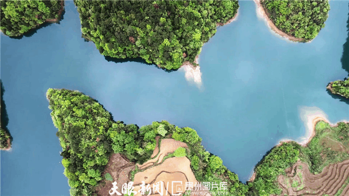 11.gif