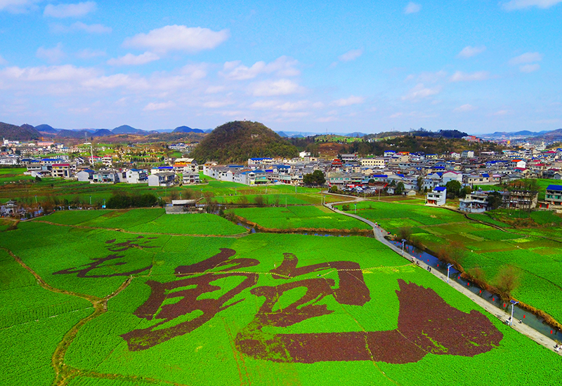 “鲍家屯”植物汉字（吴忠贤摄）.jpg