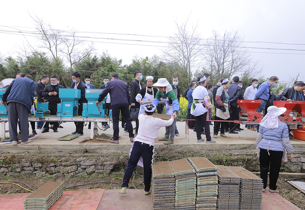 旧州镇大地农机农民专业合作社正在采用机械化生产培育秧苗.JPG