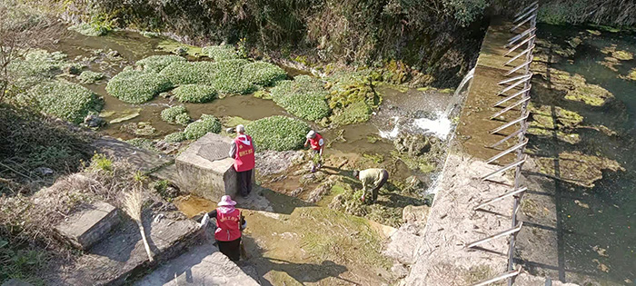 清理河道杂草和垃圾.jpeg