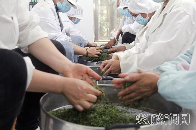 贵州哚贝古茶开发有限公司制茶车间2.jpg