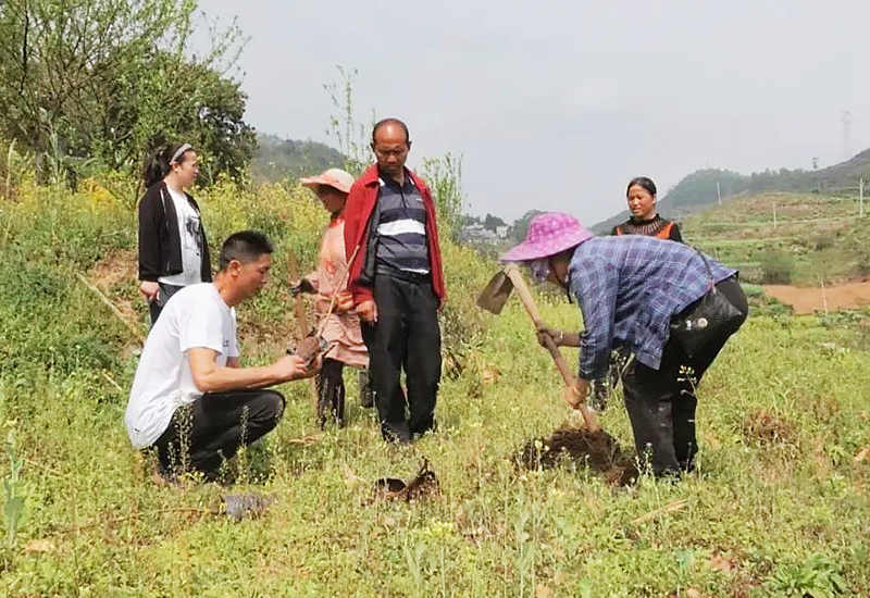 农技专家在田间地头为群众讲解种植要点.jpg