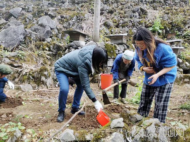 市农技专家在宗地镇竹豪村指导白刺花蜜源栽种.jpg