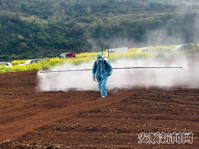 黄土村春耕生产忙1.jpg