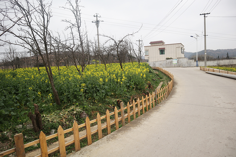 干净整洁的道路.jpg