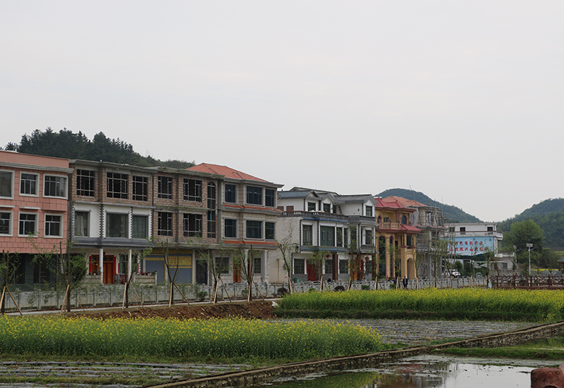 平坝乐平镇大屯村1.JPG