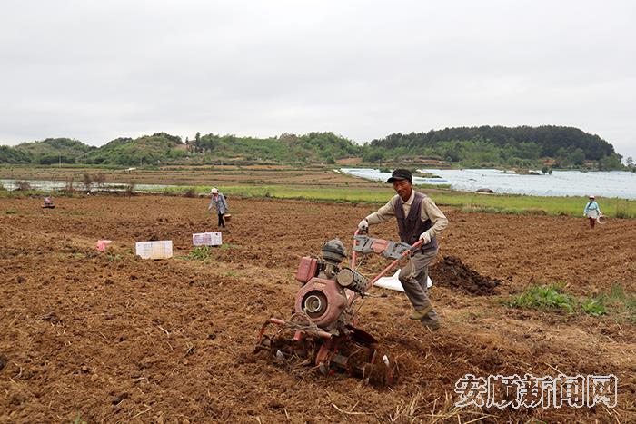 王登友正在耕地.jpg