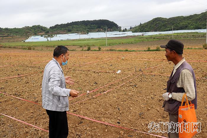 东屯乡人大副主席童武正在给村民讲解大豆玉米带状复合种植技术.jpg