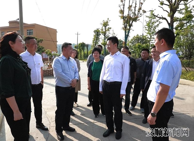 尹恒斌到经开区西航办新阳村观摩宜居乡村创建情况.jpg