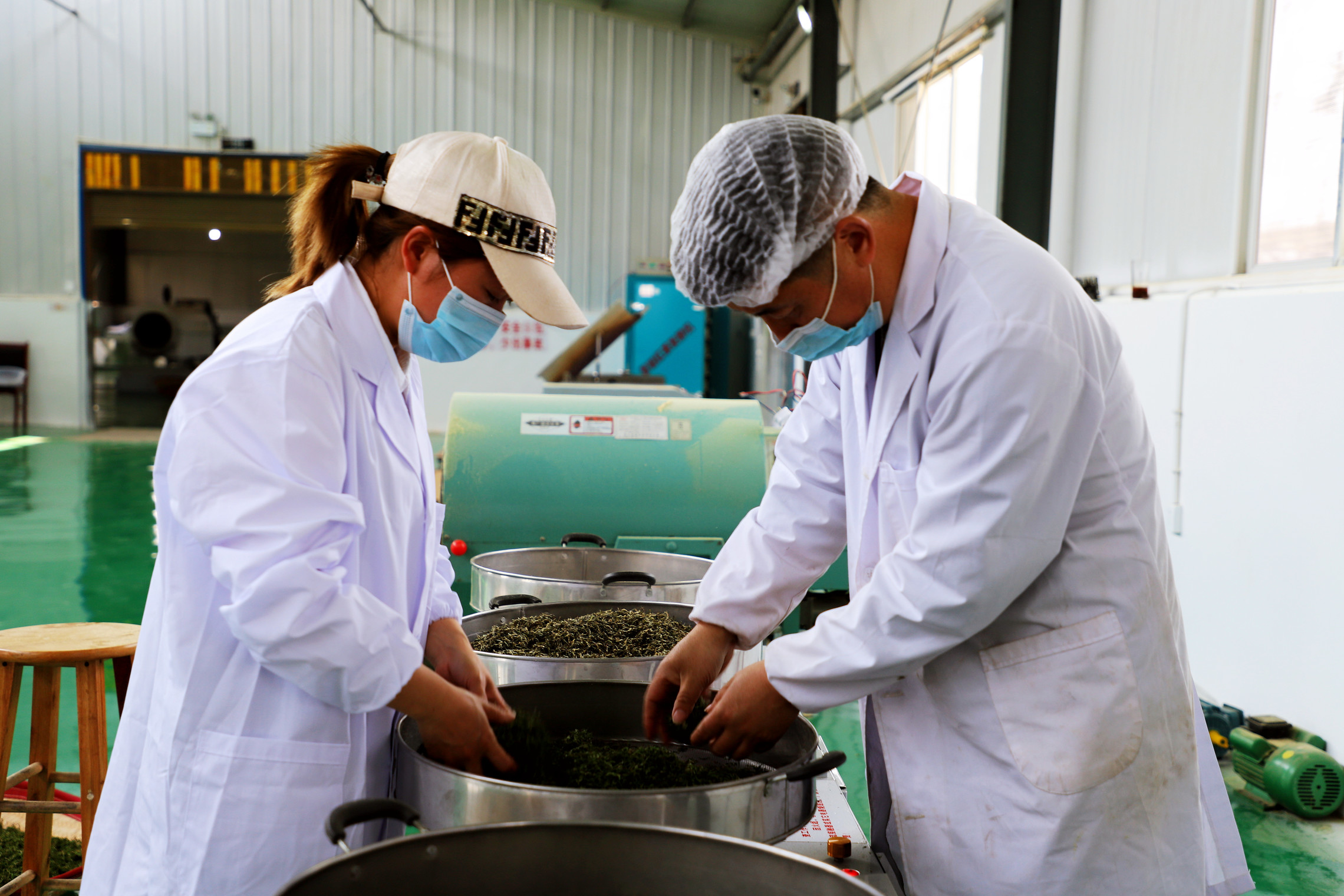 郭启平（右一）正在公司生产车间制茶.jpg