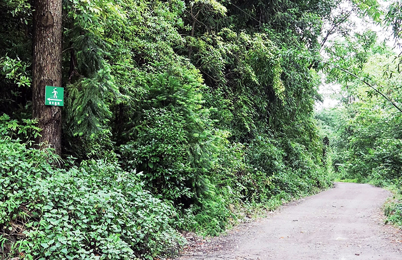 顶云街道石板井村上沙德组危岩崩塌地质灾害隐患点避灾路线.jpg