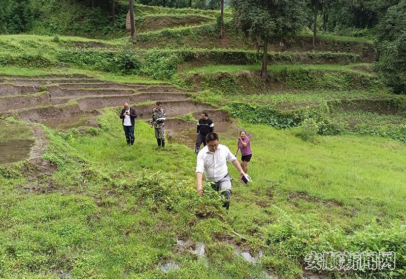 猴场乡干部职工深入田间地头调查.jpg