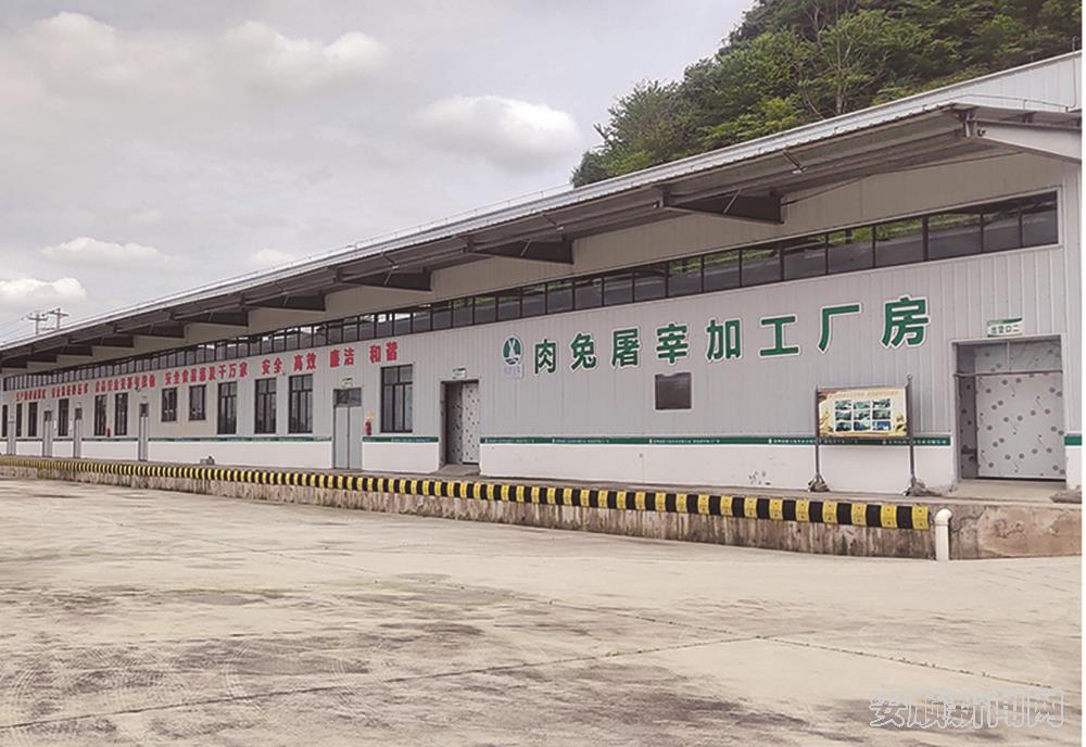 普定县肉兔屠宰场.jpg