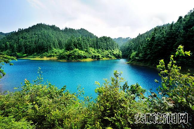 普定靛山林场 顾宇 摄.jpg