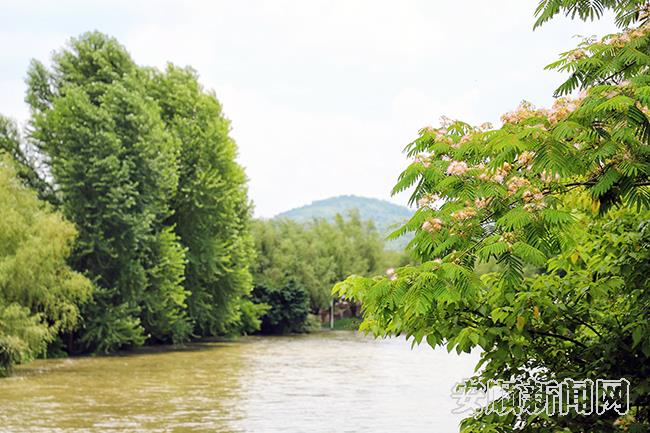 邢江河环绕旧州镇浪塘村，两岸碧树与亭榭栈道相得益彰.jpg