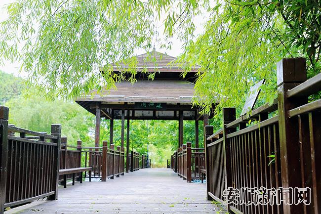 旧州镇浪塘村夏日美景.jpg