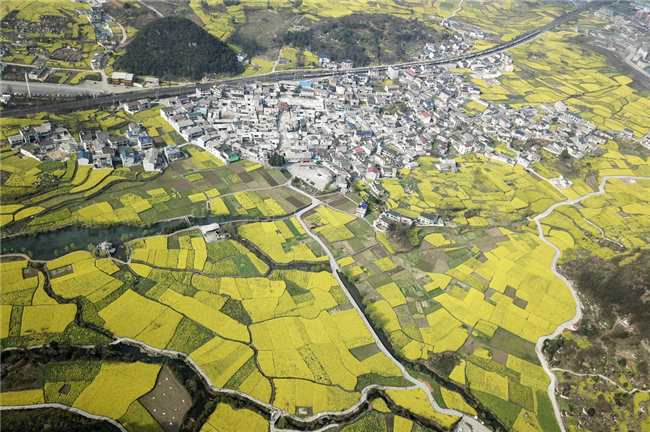 西秀区大西桥镇鲍屯村 卢维摄.jpg