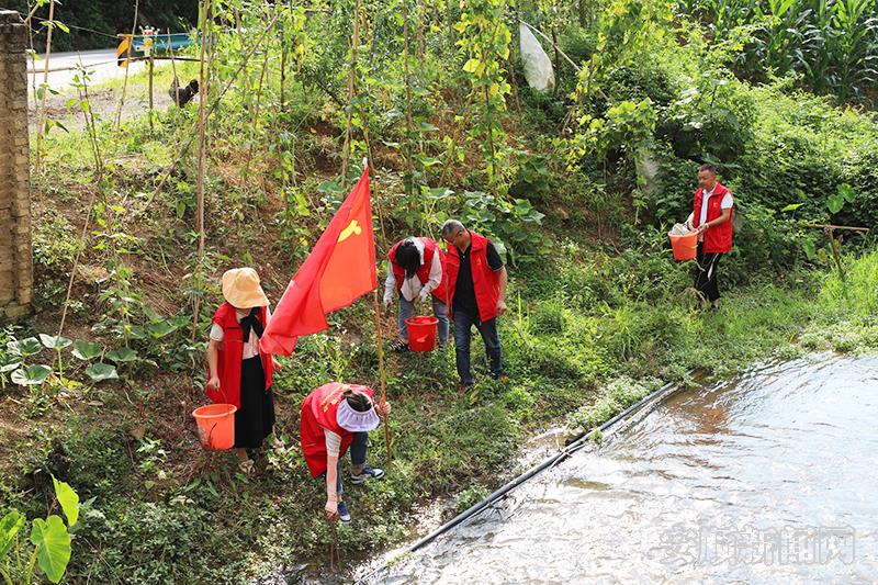 志愿者服务队清理河道.jpg