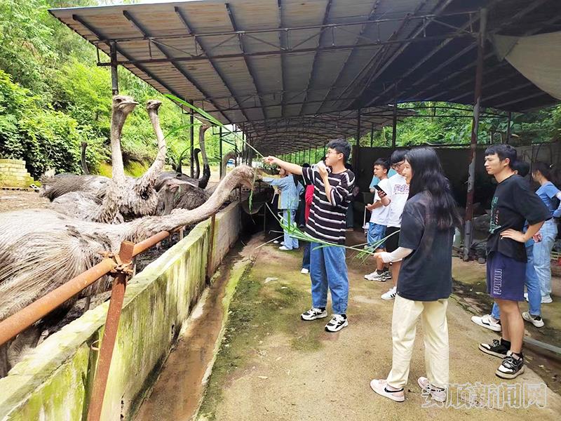 安顺学院资源与环境工程学院2019级地理科学班64人到鸵鸟基地参观学习，交流自主创业经验.jpg