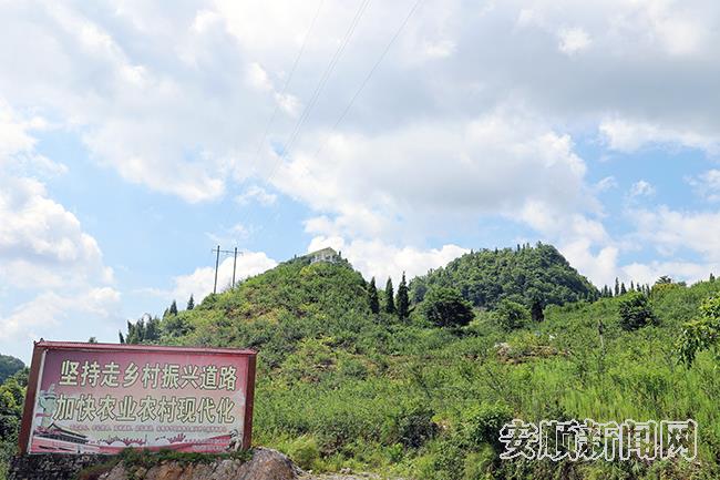 红星村花椒基地.jpg