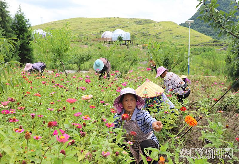 花果山农旅融合示范园.JPG