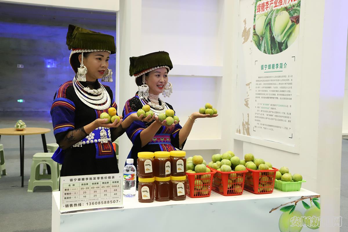 镇宁蜂糖李产业推介  张江隆 摄.jpg