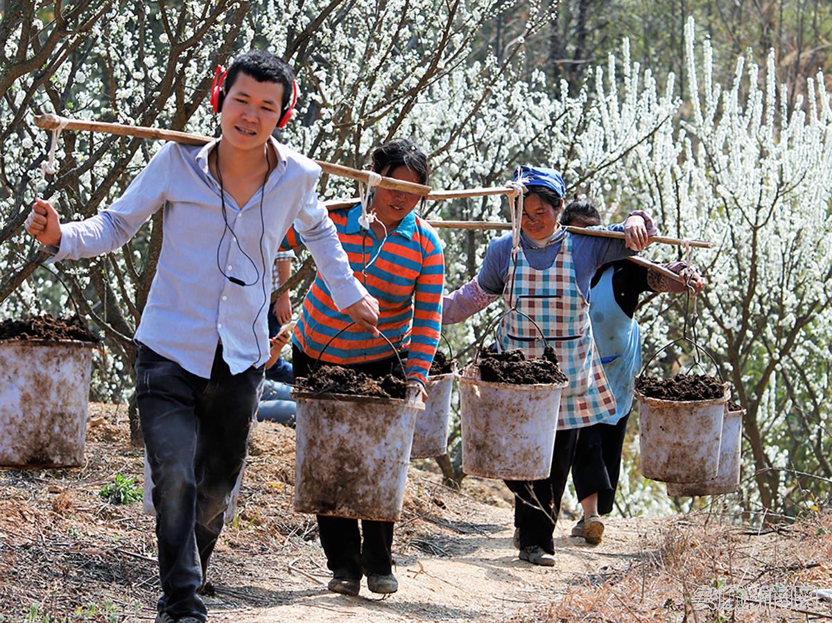 镇宁自治县六马镇群众正在运送蜂糖李肥料，脸上洋溢着收获的幸福（拍摄：林民）.jpg