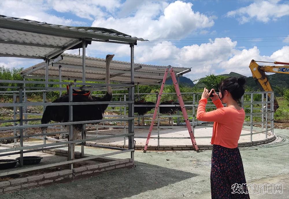 花果山农旅融合示范园游客正在拍照.png