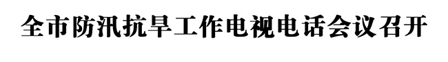 全市防汛抗旱工作电视电话会议召开.jpg