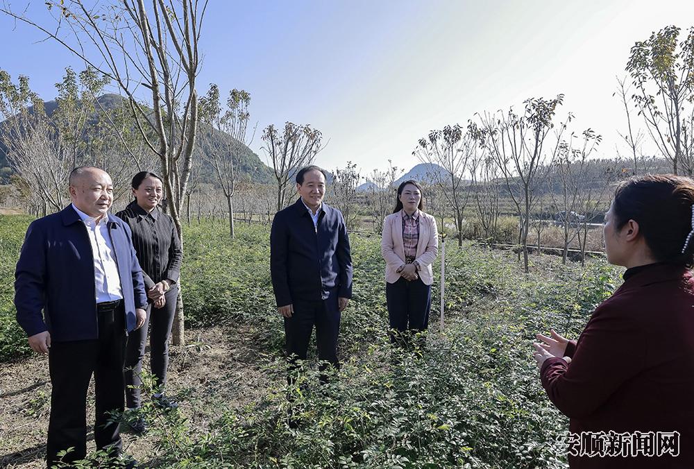 贾官村持恒林业苗木基地1.jpg