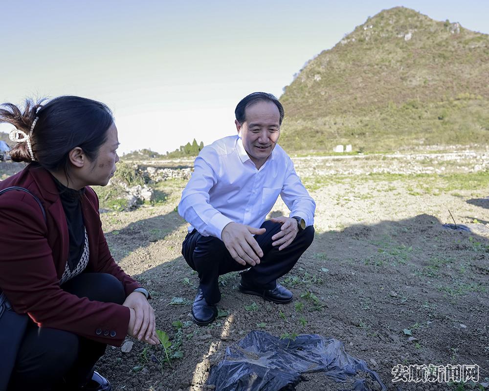 兴铺村检查了新种植基地.jpg