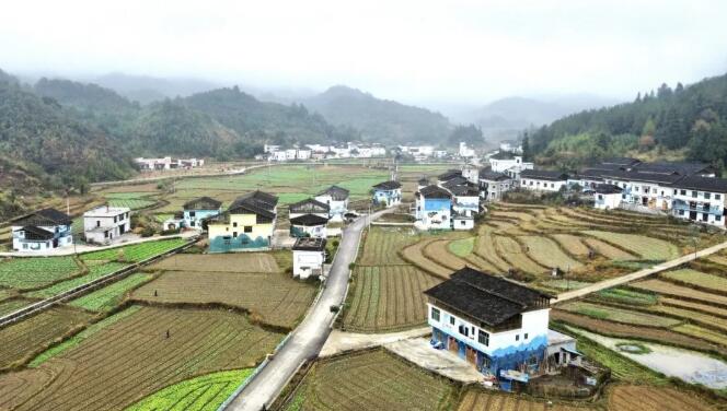 荔波：艺术“扮靓”乡村 激发振兴活力.jpg