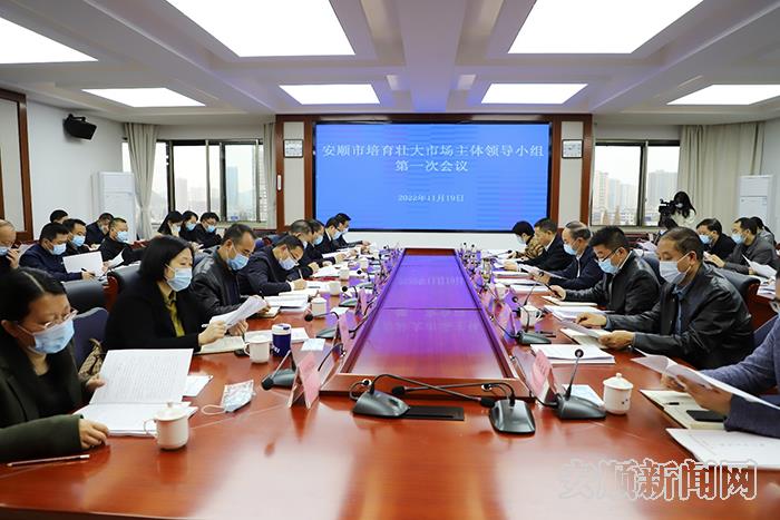 全市培育壮大市场主体领导小组第一次会议召开.jpg
