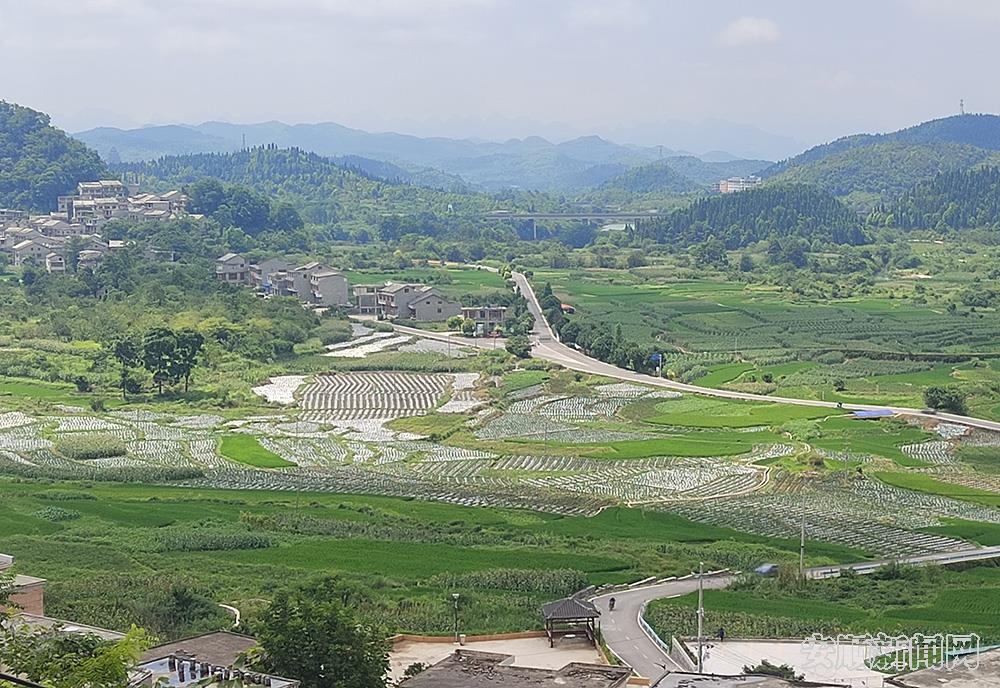 黄果树旅游区石头寨普叉村坝区产业旺.jpg