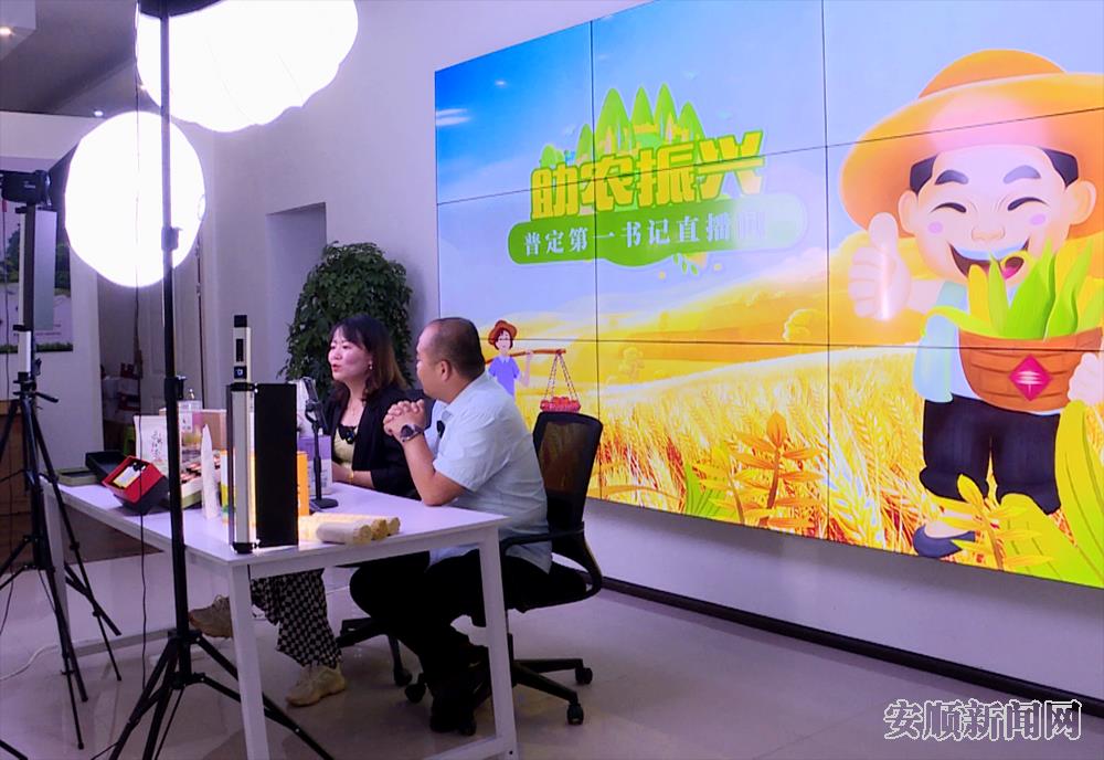 搭建了第一书记带货平台.png