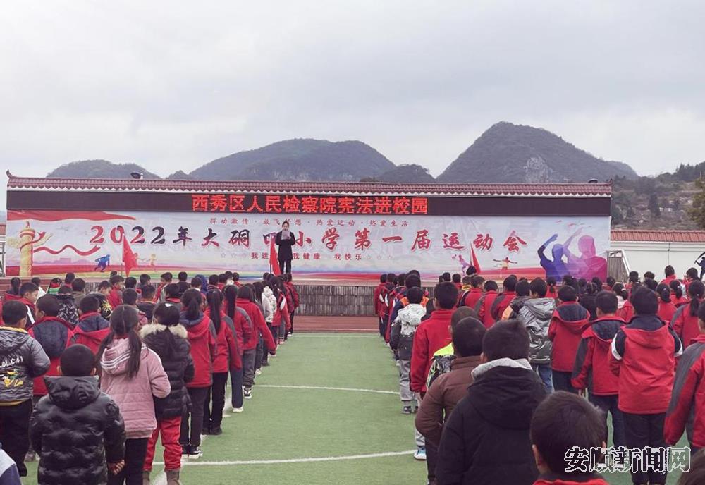 在西秀区轿子山镇大硐口小学开展宪法宣传.jpg