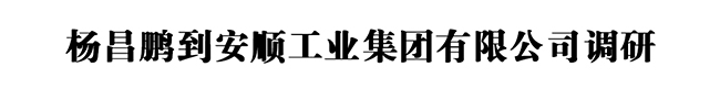 杨昌鹏到安顺工业集团有限公司调研.jpg