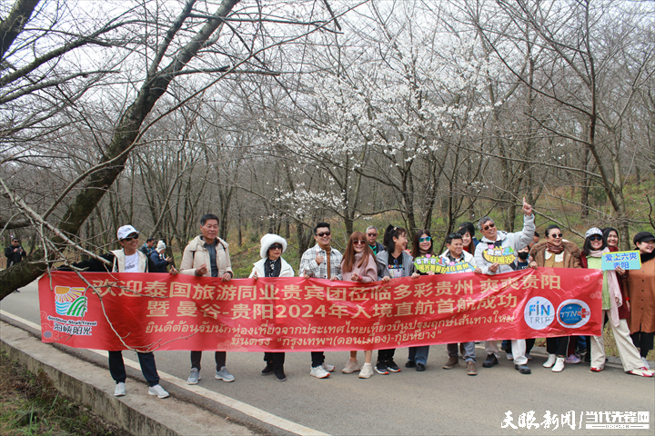 首个泰国入境旅游团打卡贵安樱花园。.png