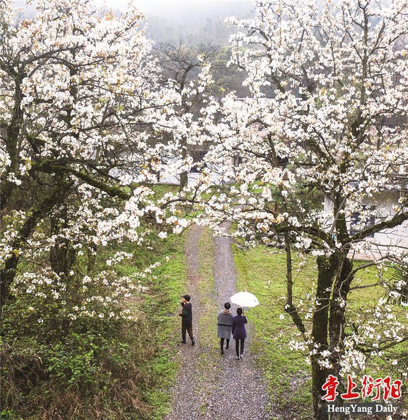 5c03d752606648a385a23ac0e18eb3d6_B_BASIC.jpg 5c03d752606648a385a23ac0e18eb3d6_B_BASIC.jpg