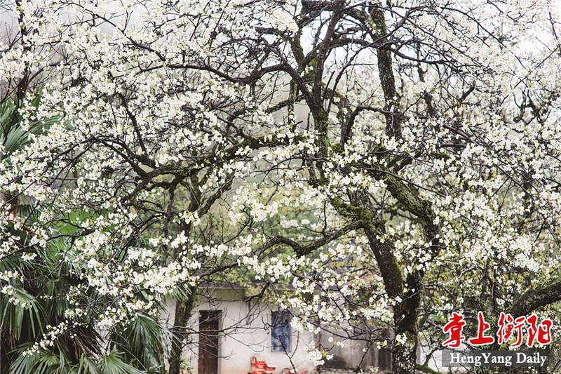 00cf96a8933a4f2bb91df71eb9a2e3b9_B_BASIC.jpg 00cf96a8933a4f2bb91df71eb9a2e3b9_B_BASIC.jpg