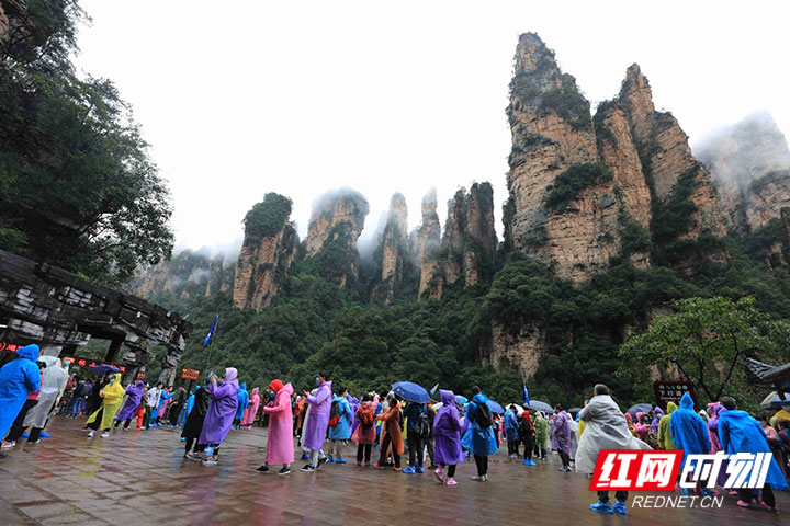 image1.jpg image1.jpg