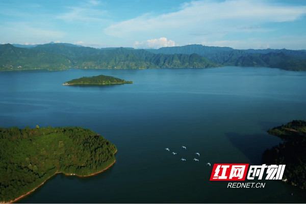 截屏2020-10-03 下午2.43.03_meitu_3.jpg