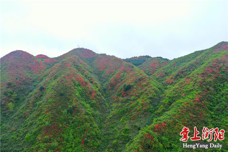 图片13.png 图片13.png