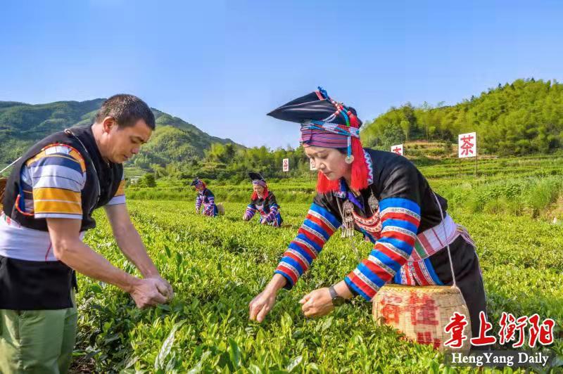 图片14.png 图片14.png