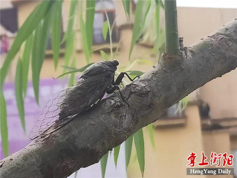 微信图片_20210807210249.jpg 微信图片_20210807210249.jpg