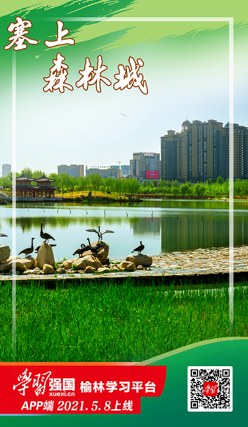 微信截图_20210508094101.png 微信截图_20210508094101.png