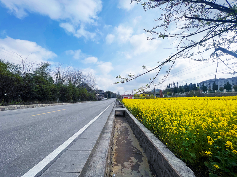 干净整洁的公路环境.jpg